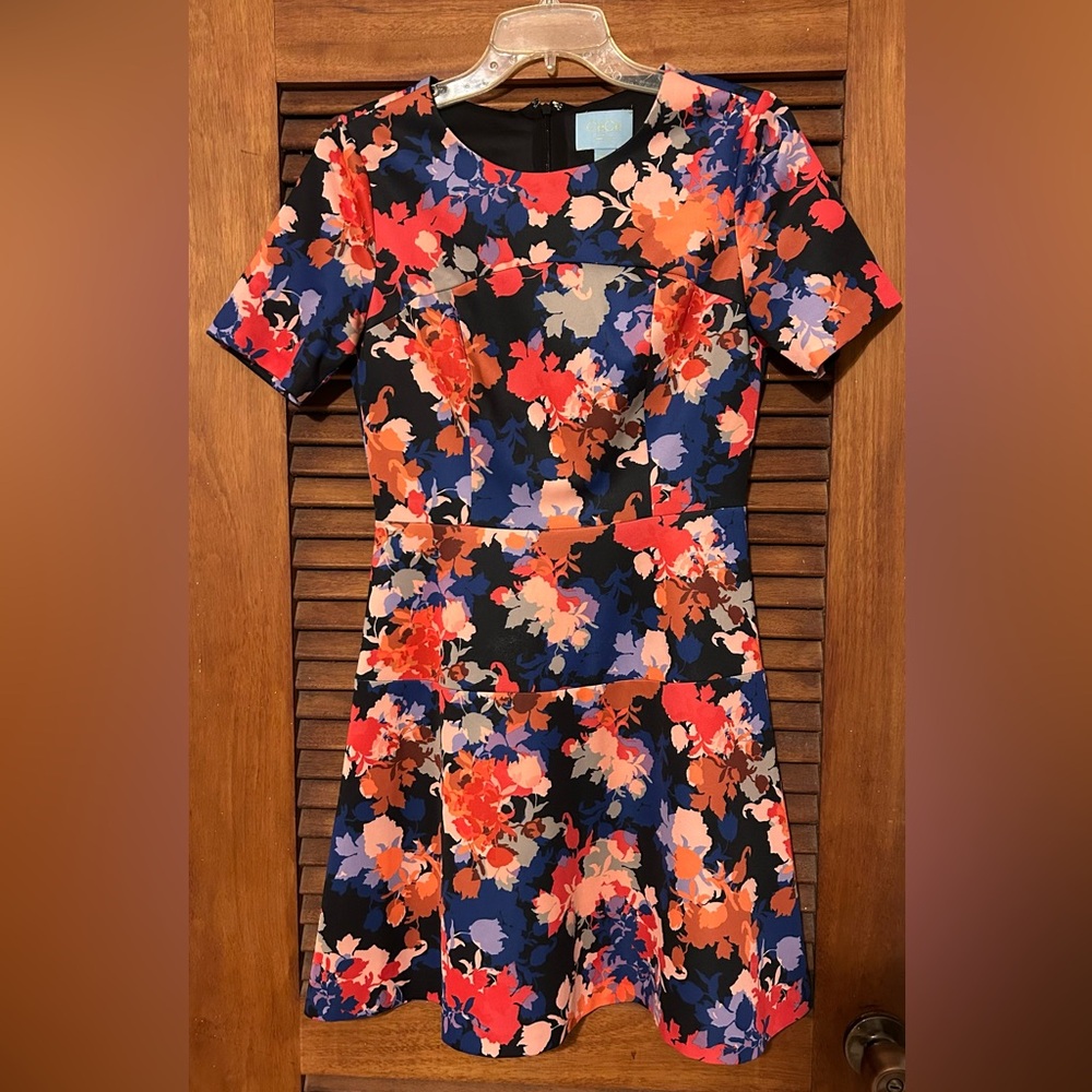 CECE Floral Boho Mini Skater Dress w Callout Size 4